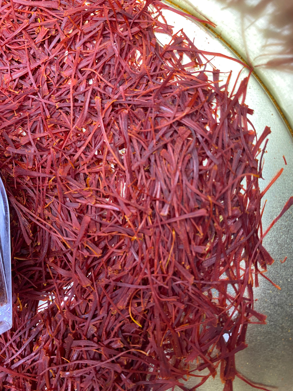 Kesar Irani / Kashmiri