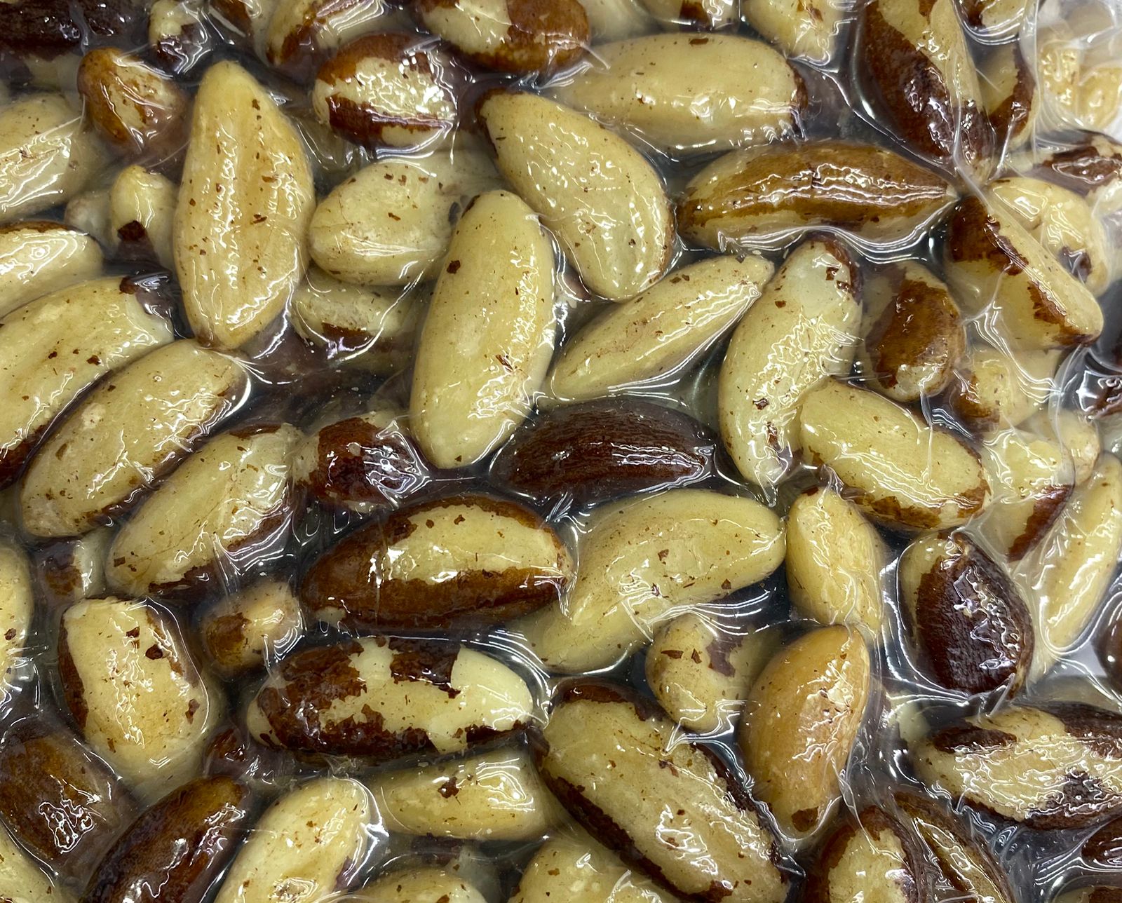 Brazil Nuts