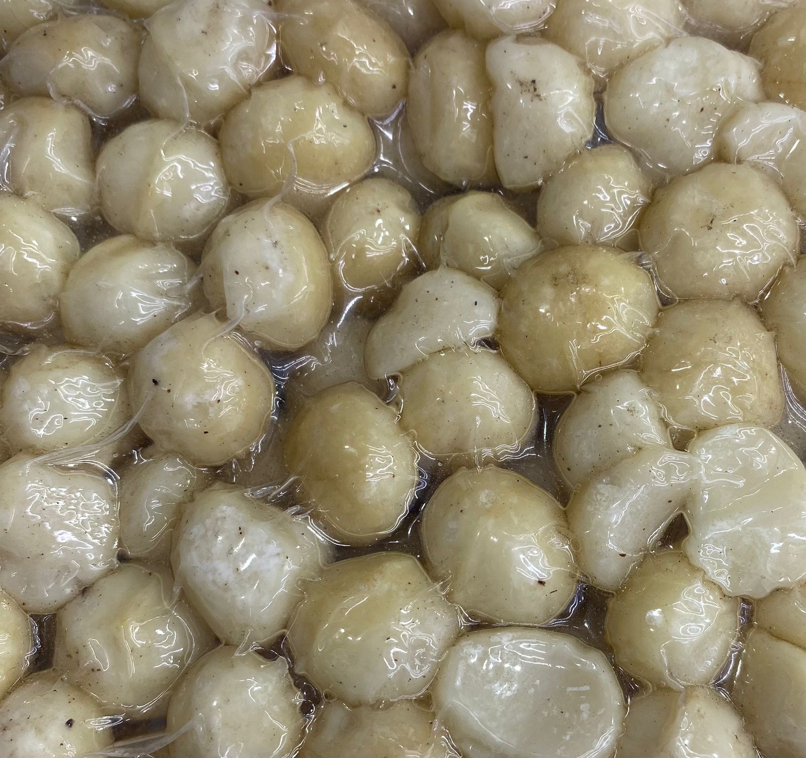 Macadamia Nuts