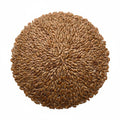 Flax Seeds