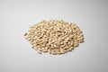Cucumber Seeds